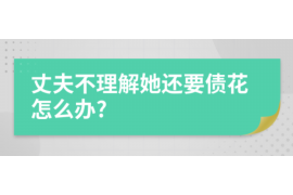 丰城为什么选择专业追讨公司来处理您的债务纠纷？