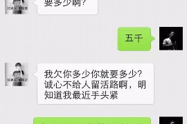 丰城专业催债公司的市场需求和前景分析